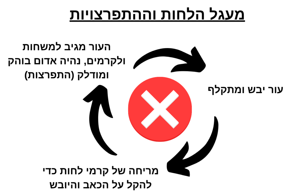 מעגל הלחות וההתפרצות של העור